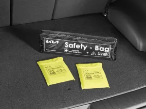 Genuine Kia E-Niro Safety Bag