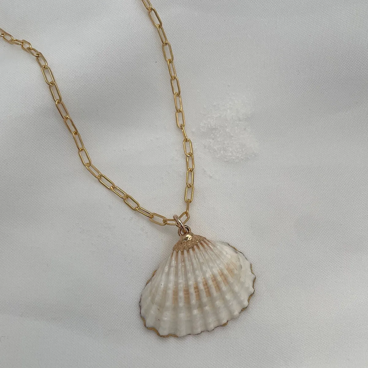 She Sells Seashells Necklace