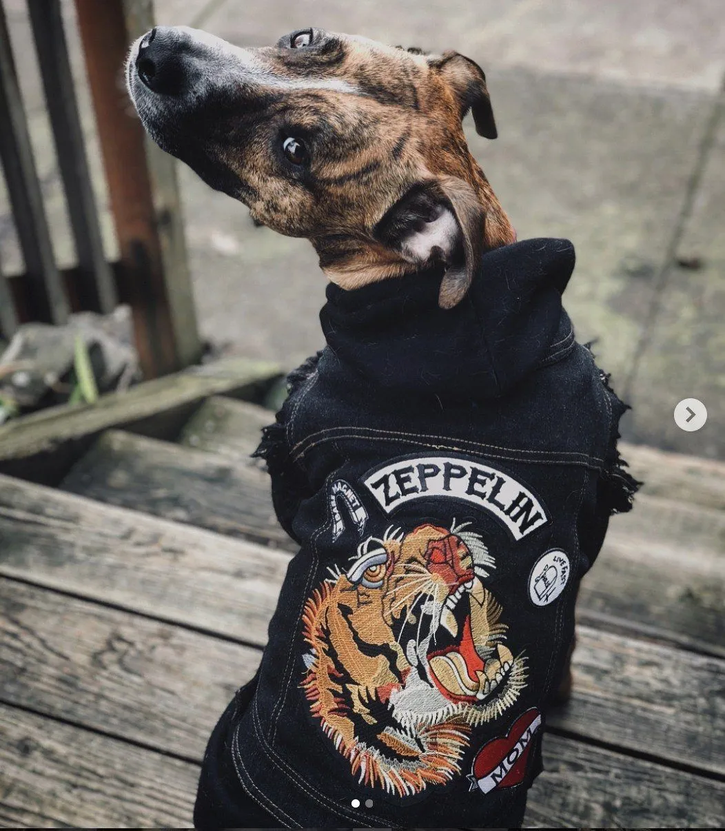 Tiger Head Back Patch